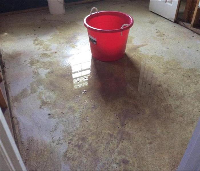 standing water on the living room floor of a home in Georgia