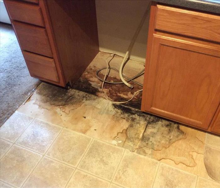 Water damage on kitchen floor where dishwasher used to be