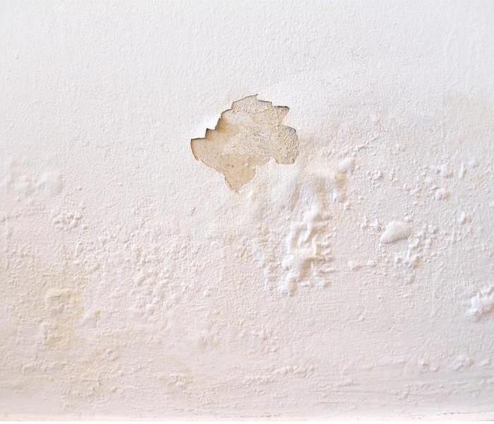 white wall with water damage spots and peeling paint